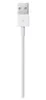 Apple Cavo da lightning a USB 0.5mt Anteprima dell’immagine prodotto 4