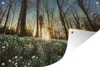 MuchoWow® Produktbild-Vorschau 1