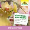 Neudorff OrchideenPflege Spray 250 ml Produktbild-Vorschau 6