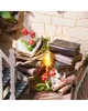 A miniature scene with books, mushrooms, and decorative elements, suggesting a fantasy or magical theme. Náhled obrázku produktu