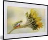 MuchoWow® MuchoWow® Gerahmtes Poster Sonnenblume - Tier - Produktbild-Vorschau 1