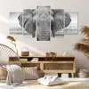 Bild auf Leinwand - Leinwandbild - 5 Teile - Elefant Afrika Produktbild-Vorschau 7