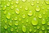 Küchenrückwand Spritzschutz Glas mit Motiv Wassertropfen 40 Produktbild-Vorschau 3