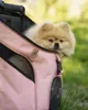 Ibiyaya Ultralight Pro Rucksack für kleine Hunde Katzen Produktbild-Vorschau 17