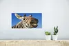 MuchoWow® Poster Zebra - Lustig - Kinder - Jungen - Mädchen Produktbild-Vorschau 5