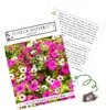 Blumensamen Balkonkasten Mischung - Farbenfrohe Blumen mit Produktbild-Vorschau 1