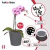 KOTARBAU® 2er Set Blumentopf Aschefarbe Keramik glasiert  ⌀ Produktbild-Vorschau 5