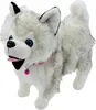 A plush toy husky dog with blue eyes, a pink collar, and a pink bell. Náhľad obrázku produktu