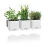 LECHUZA Green Wall Home Kit, Kvetináč, Nástenný, Náhľad obrázku produktu 3