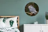 MuchoWow® Rundes Wandbild - Runde Bilder Eule - Vogel - Produktbild-Vorschau 4