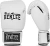 Boxhandschuhe aus Kunstleder RODNEY White/Black 14 oz Produktbild-Vorschau 1