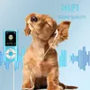 32GB MP3-Player Musik-Player mit Bluetooth HiFi Sound Produktbild-Vorschau 3