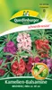 Kamelien-Balsamine Mischung | Blumensamenmischung von Produktbild-Vorschau 4