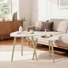 Konferenčný stolík Vicco Twino Biela/Sonoma 48 x 45 cm Sada Náhľad obrázku produktu 3