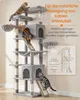 Arbre à gratter Feandrea, grand, avec des surfaces à Voir les images du produit 6