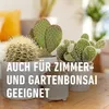 COMPO 14064 COMPO Concime per cactus e succulente, flacone Anteprima dell’immagine prodotto 8