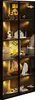 A tall, narrow display cabinet with glass doors, showcasing various models and collectibles on illuminated shelves. Anteprima dell’immagine prodotto