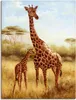 ARTland Leinwandbild Giraffe Größe: 60x80 cm Produktbild-Vorschau 1