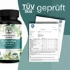 PURE NATURAL CHOICE | Curcuma Extrakt 15.000 - vegan, Produktbild-Vorschau 3