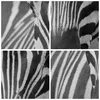 Bild auf Leinwand - Leinwandbild - Tiere Zebra gestreift - Produktbild-Vorschau 8