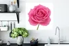 MuchoWow® Poster Nahaufnahme einer einzelnen rosa Rose auf Produktbild-Vorschau 4