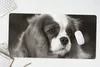 MuchoWow® Schreibtischunterlage Schwarz-Weiß-Foto eines Produktbild-Vorschau 5