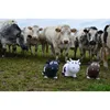 Hüpftier - Betsy the Cow : mint Farbe: mint Produktbild-Vorschau 7