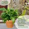 MePla - Planzkübel Palermo mit Dekor ø 50 terra Produktbild-Vorschau 6