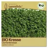 Samenliebe  Kresse Samen | Gartenkresse & Küchenkraut - Produktbild-Vorschau 1