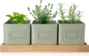 Three herb pots with plants on a bamboo tray against a white background. Produktbild-Vorschau