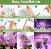Collage of images showing the assembly and use of a plant grow light. Produktbild-Vorschau