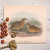 Coloray Schneidebrett Herdabdeckplatte 60x52 cm Produktbild-Vorschau 3
