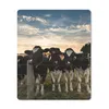 MuchoWow® Mauspad Mousepad Tiere - Kuh 19x23 cm - Mousepads Produktbild-Vorschau 1
