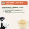 AniForte Premium Colostrum für Hunde & Katzen 100g - 100% Produktbild-Vorschau 4
