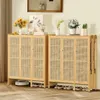 Two woven cane storage cabinets are shown side-by-side, with shoes underneath and decorative items on top. Podgląd zdjęcia produktu