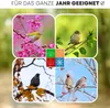 A collage of four images showing birds in different seasons, with icons representing the seasons. Produktbild-Vorschau