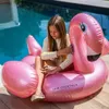 Swim Essentials - Aufblasbarer Flamingo 150x115cm Náhled obrázku produktu 19