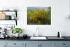 MuchoWow® Poster Blühender Ginster 80x60 cm - Kunst für zu Produktbild-Vorschau 3