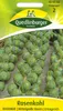 Quedlinburger Saatgut - Rosenkohl Roodnerf - Samen - 429702 Produktbild-Vorschau 3