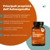AshwagandhaKSM-66® 3600mg alto dosaggio per il Benessere Anteprima dell’immagine prodotto 5