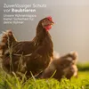 Agrarzone Automatische Hühnerklappe Solar 30 x 40 cm Produktbild-Vorschau 6