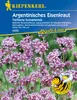 Argentinisches Eisenkraut / Verbene, mehrjährig, Produktbild-Vorschau 3