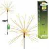 A product shot of a solar garden light and its packaging. Anteprima dell’immagine prodotto