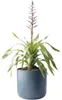 Blumentopf Lafiora Alma Keramik Ø 27 cm H 26 cm blau Produktbild-Vorschau 2