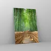 Bilder auf glas - Einteilig - Bambus Pflanze - 50x70cm - Produktbild-Vorschau 4