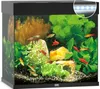 A black aquarium with fish and aquatic plants, illuminated by LED lights. Podgląd zdjęcia produktu