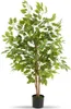 tectake® Künstlicher Ficusbaum Fida verschiedene Größen Produktbild-Vorschau 1
