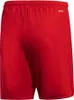 Herren-Shorts Adidas Parma 16 Rot, S Produktbild-Vorschau 33