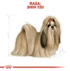 Royal Canin Shih Tzu Adult, Dospelý, Ši-cu, Malé (5-10 Náhľad obrázku produktu 6