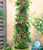 BALDUR Garten 1x Winterharte Passionsblumen 'Ladybirds Produktbild-Vorschau 1